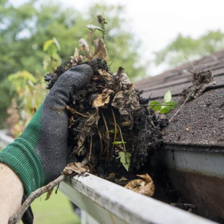 Cost of Gutter Cleaning Services in Lancaster, PA